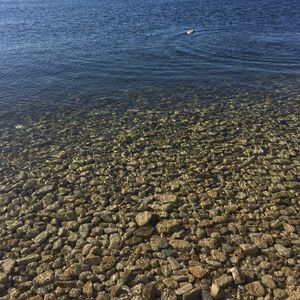 Meet your Posher, Lijana